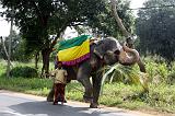 Sri Lanka Mimmo - 709